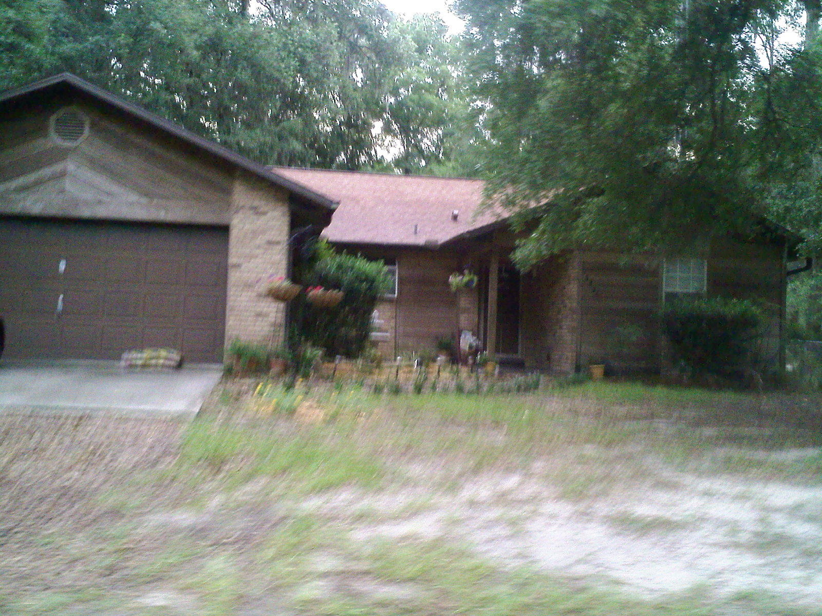 Belleview