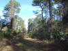 trail university highlands