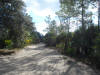 Atlantic Estates Mims Brevard Volusia County Florida