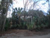 Atlantic Estates Mims Brevard Volusia County Florida