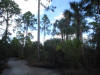 Atlantic Estates Mims Brevard Volusia County Florida