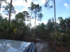 Atlantic Estates Mims Brevard Volusia County Florida