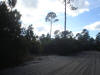 Atlantic Estates Mims Brevard Volusia County Florida