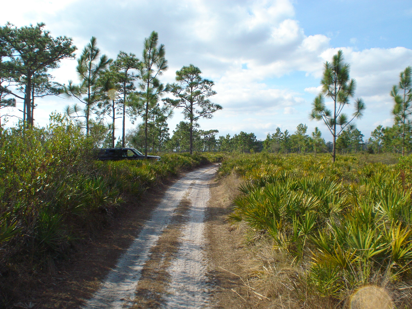 Holopaw Florida Suburban Estates FL Dry lot for sale