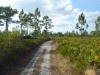 Suburban Estates Holopaw Florida St Cloud FL