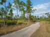 Suburban Estates Holopaw Florida St Cloud FL