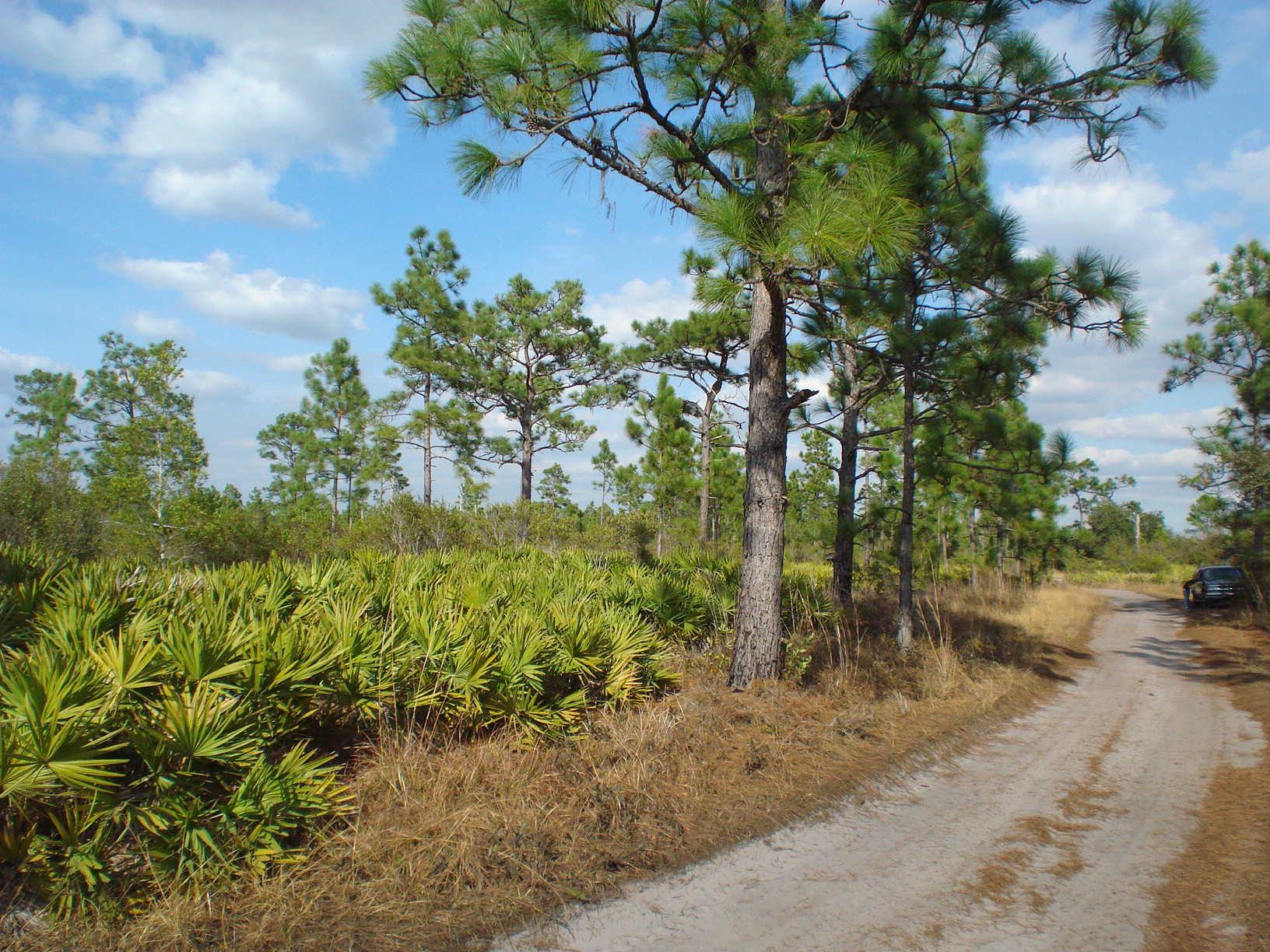 Holopaw Suburban Estates Land for sale St Cloud