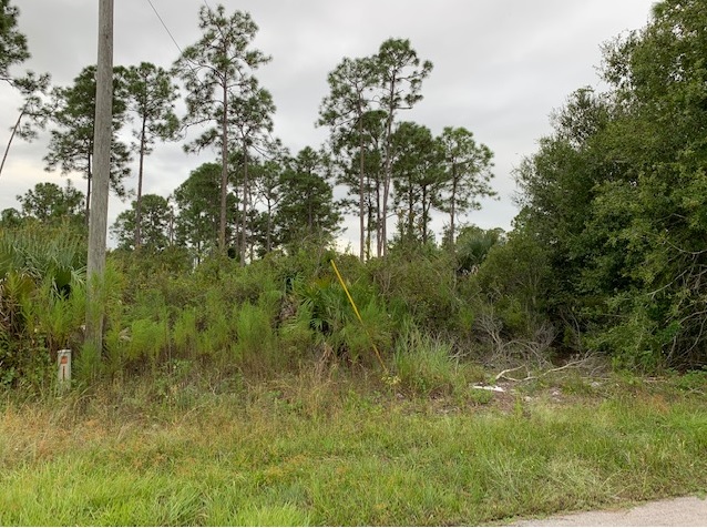 Lehigh Acres Lot For Sale Land Southwest Florida