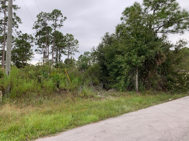Lehigh Acres Lot For Sale Land Southwest Florida