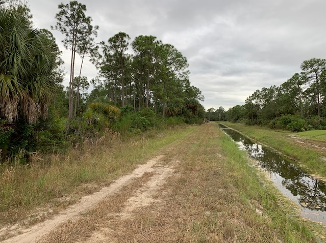 Lehigh Acres Lot For Sale Land Southwest Florida