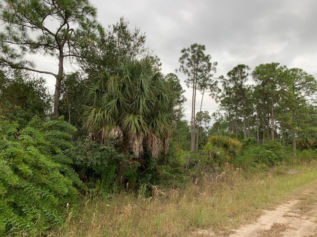 Lehigh Acres Lot For Sale Land Southwest Florida