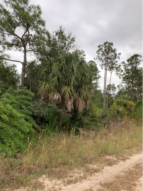 Lehigh Acres Lot For Sale Land Southwest Florida