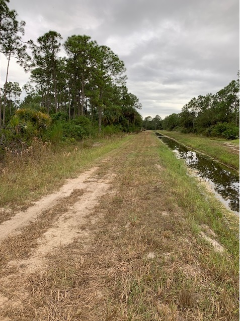 Lehigh Acres Lot For Sale Land Southwest Florida