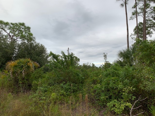 Lehigh Acres Florida Lot Southwest Florida Land