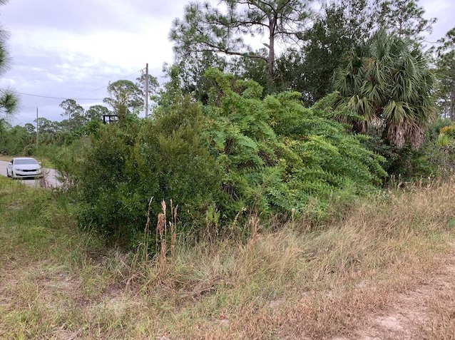 Lehigh Acres Florida Lot Southwest Florida Land