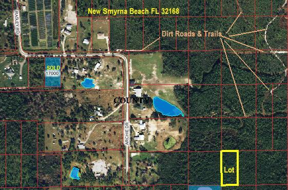 New Smyrna Beach Real Estate for sale