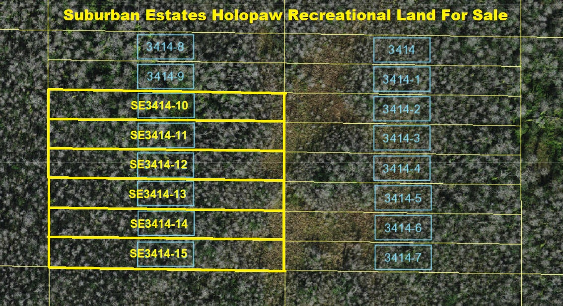 Suburban Estates Holopaw Florida Recreational Lots For Sale