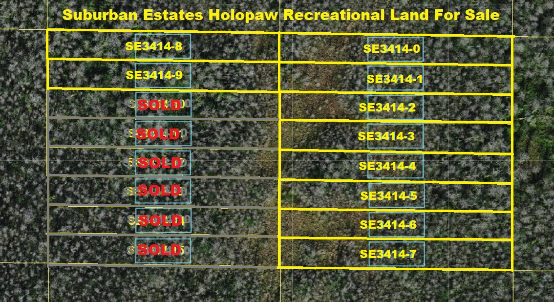 Suburban Estates Holopaw Florida Recreational Lots For Sale