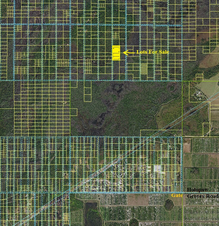 Suburban Estates FL Holopaw Florida Landintheusa Recreational Land 4132