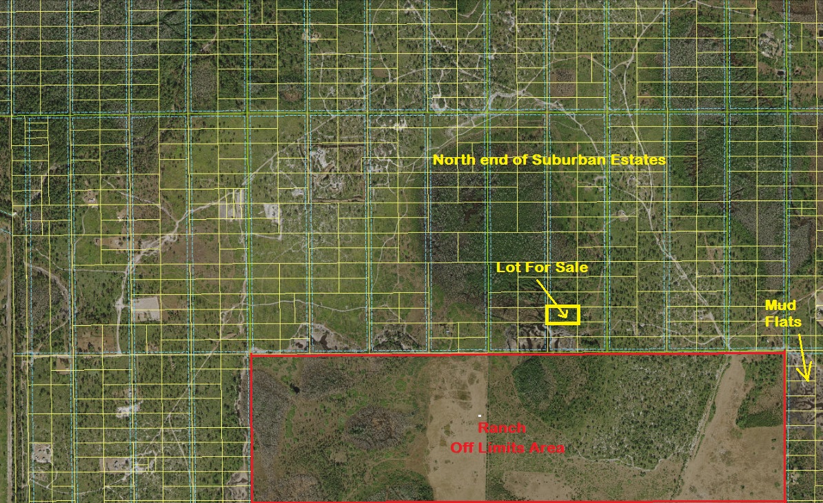 Suburban Estates Holopaw Recreational Lots For Sale