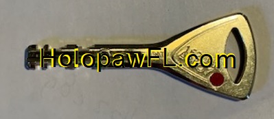 Suburban Estates Holopaw Florida