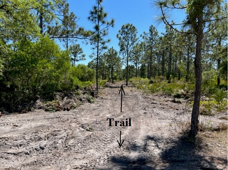 Suburban Estates Holopaw Florida off road recreational land for sale